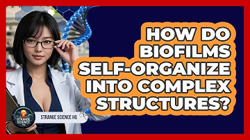 How Do Biofilms Self-organize Into Complex Structures? - Strange Science HQ