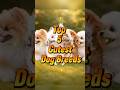 Top 5 Cutest Dogs in the World 🐶 #puppy #dog
