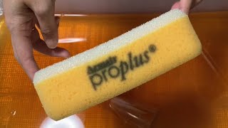 Asmrpine Bucket 1 Proplus SpongeパインバケツとプロプラススポンジでもこもこTime