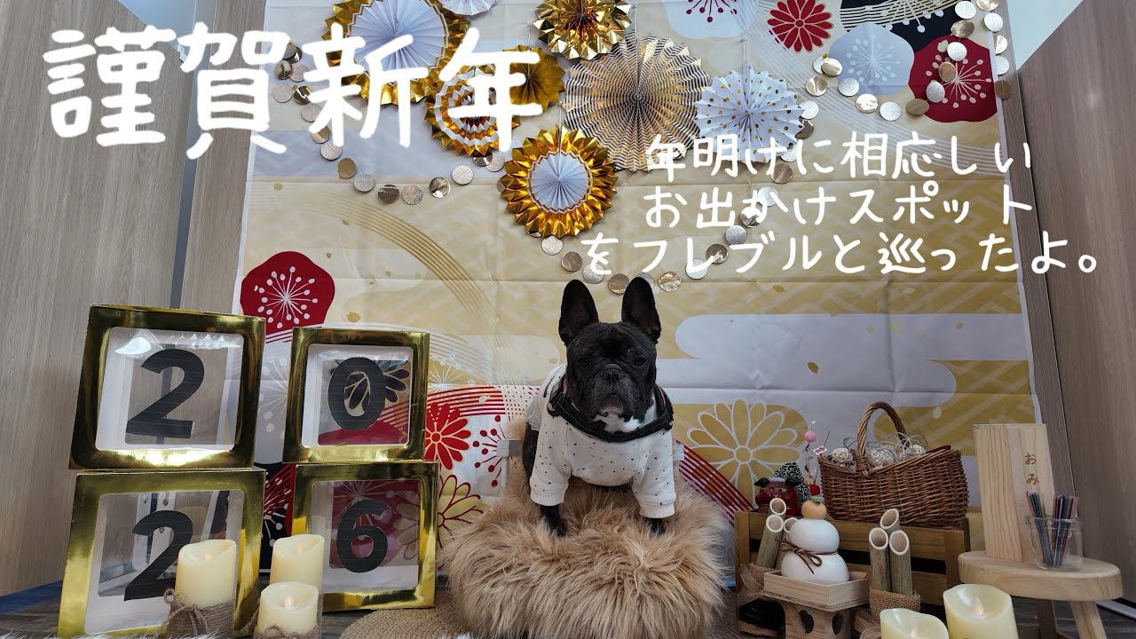 犬と過ごす1月らしいお出かけスポット[東京都江戸川区〜][フレンチブルドッグ]