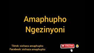Ukuphupha isikhova , ijuba , inkankane , ilulwane nezinye izinyoni