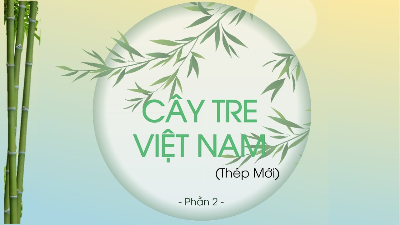 Văn bản: Cây tre Việt Nam - Phần 2 - Ngữ văn lớp 6... - youtube