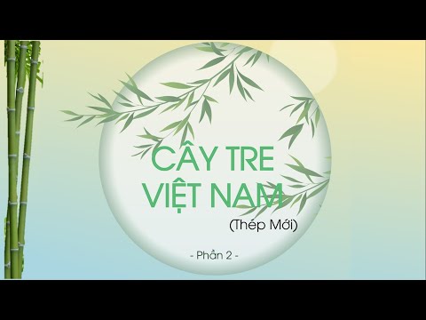 Video Văn bản: Cây tre Việt Nam - Phần 2 - Ngữ văn lớp 6... - youtube