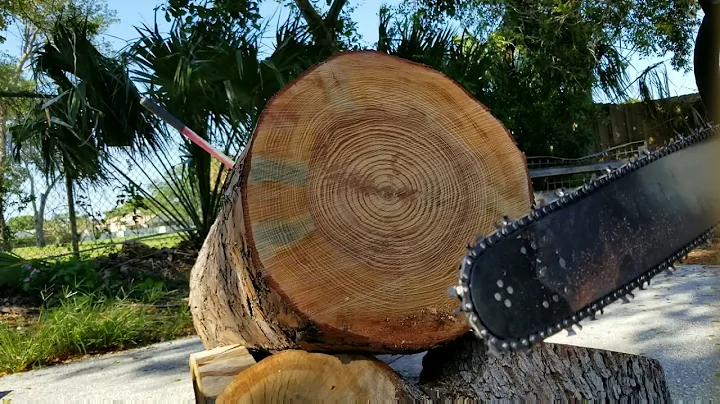 STIHL 064 AV PORTED 25" BAR