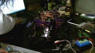 Testing Hexy the Hexapod