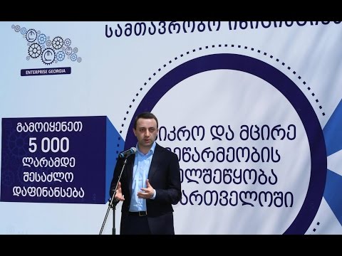 მიკრო და მცირე მეწარმეობის ხელშემწყობი პროექტის პრეზენტაცია