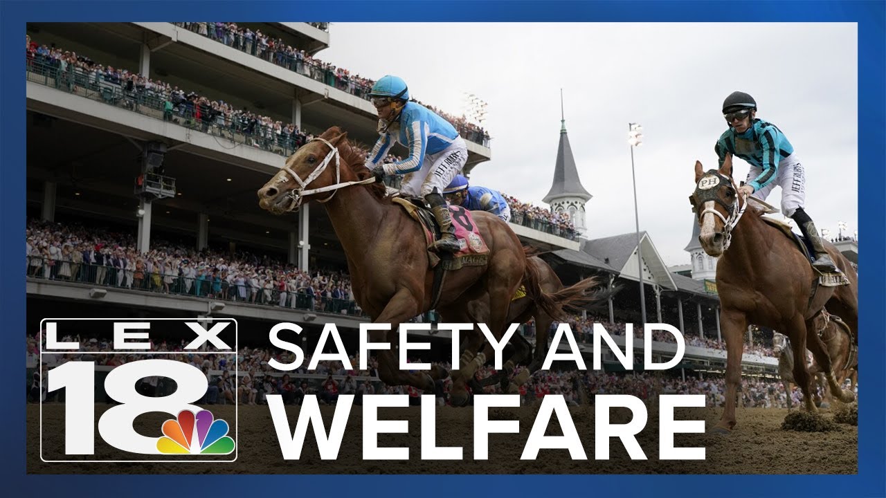 Horse racing authority calls for emergency summit with Churchill Downs