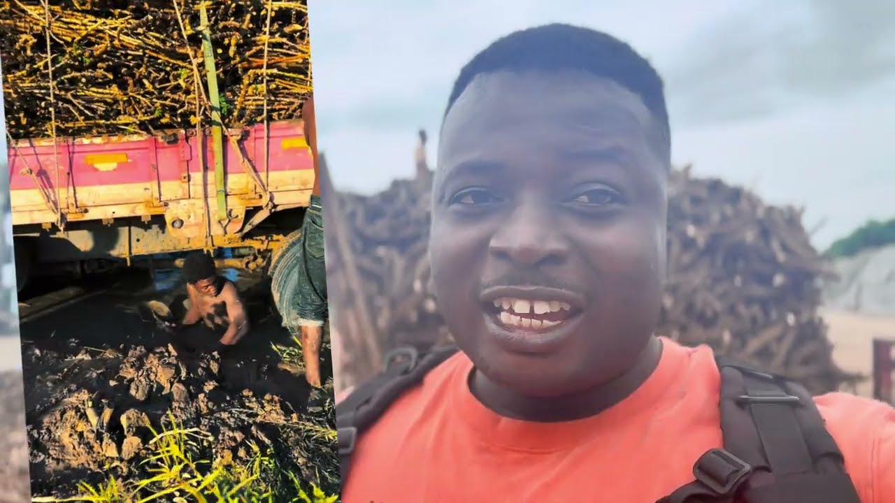 Cassava Prices Crash After Delivery to Chinese Ethanol Company | Real Farm Experience in Ghana