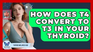 How Does T4 Convert To T3 In Your Thyroid? - Thyroid Wellness Hub