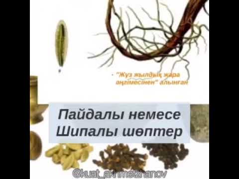 Бейне: Көктегі шөптердің қандай түрлері аязға төзімді және қыста жасыл болады