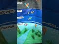 Layers of Atmosphere Model Project | Easy Science Project for School Exhibition | Exhibition model