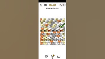 Level No.52 Brain Out | Find the Panda!