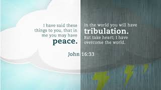 DAY 24 - John 16:33 - Scripture Insights