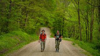 Hiking in the Woods of Ohio
