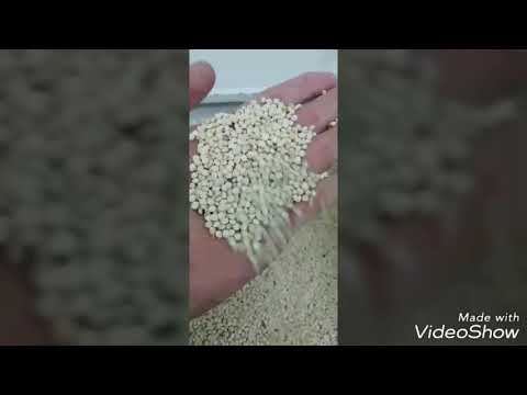 فيديو: أي نوع من الحبوب هو الشعير اللؤلؤي