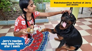 Dog meet owners after a long time||try not to cry compliation.