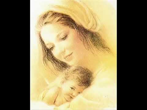 امك ياوليدي انا امك