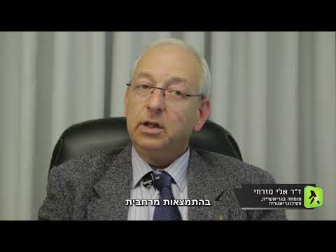 פרופ' אלי מזרחי