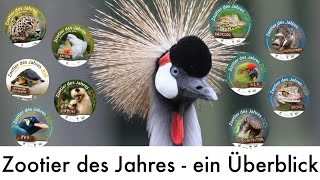 Diese Tiere werden durch Zoos gerettet - Aber warum ist das wichtig? Zootier des Jahres im Überblick