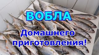 Вяленая вобла (таранка) Лучший рецепт ! Как завялить плотву ,в домашних условиях.