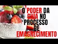 Benefícios da chia no processo de emagrecimento. Emagreça com saúde. Dicas para emagrecer.
