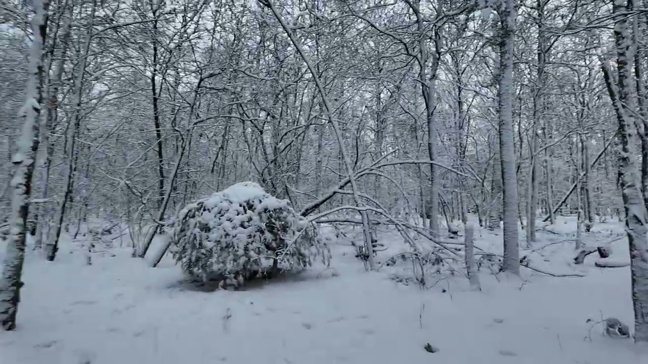 ثلج فيروز   إذا رجعت بجن و إن تركتك بشقى فيروزيات شتاء فيروز Fayruz