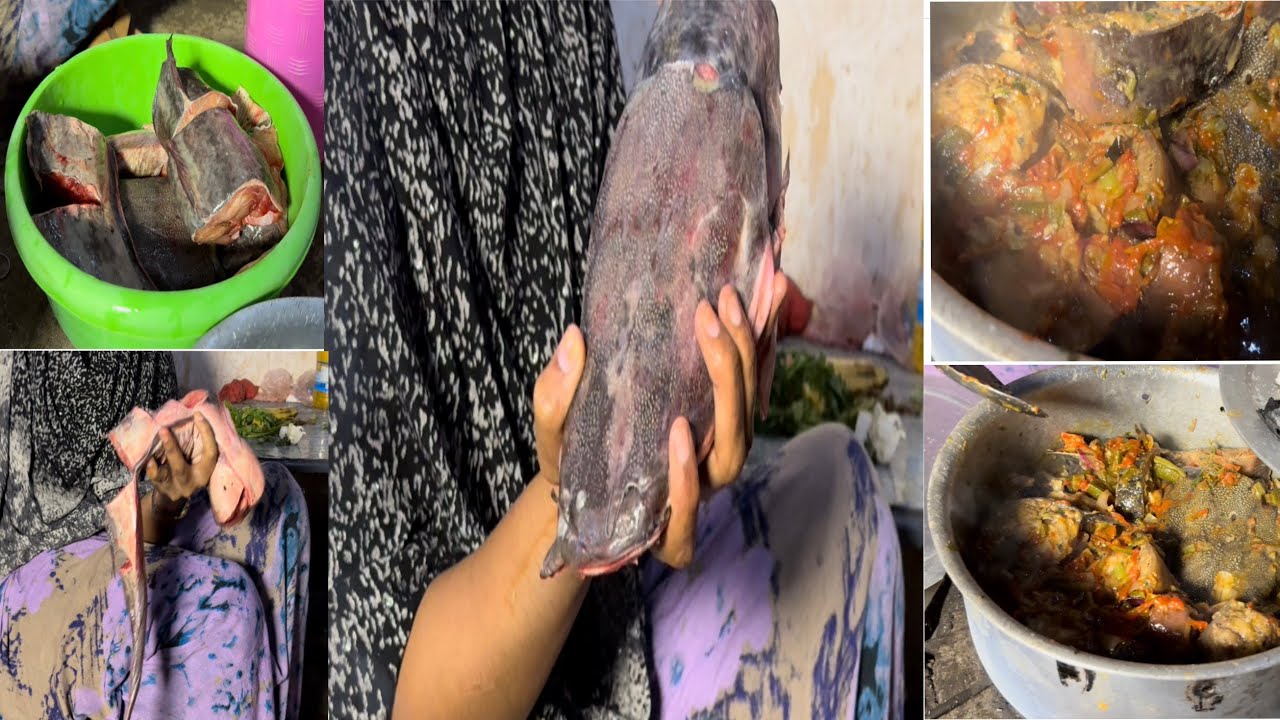 Rotinkena manta waa malay wabi iyo bariis  baro qaabka lookariyo kaluunka wabiga