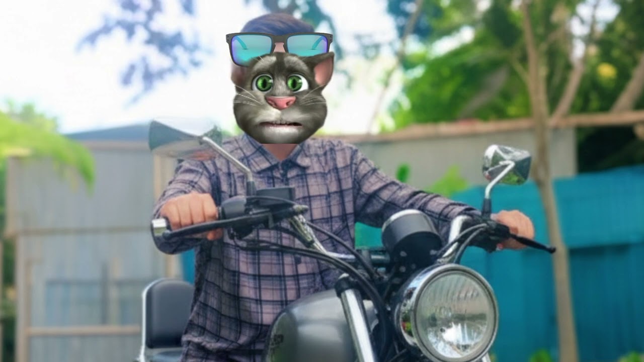 মফিজের ভিডিও 