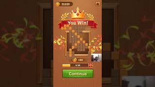 Wooden Block Jigsaw Puzzle Level 931 - 940 Walkthrough screenshot 3