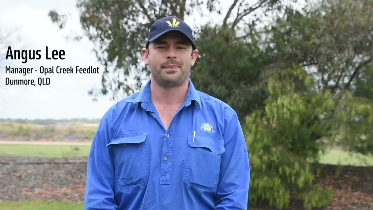 Angus Lee - ALFA Young Lot Feeder 2024 Grand Finalist