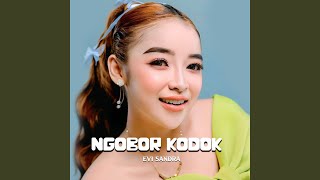 Ngobor kodok