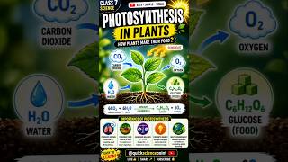 Plants are the only ones who never feel hungry!#scienceshorts#photosynthesis #learnscience #shorts