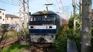 4月23日小田栄駅 新鶴見A218運用 3076レ EF210-173 100番台ラストナンバー機