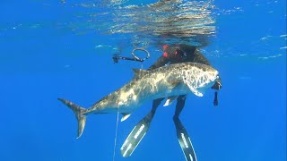 🔱 Deep and Shallow Spearfishing in Cyprus 2 - 🔱 Ρηχό και Βαθύ Ψαροντουφεκο στην Κύπρο 2