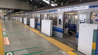 【台湾と国際交流】西武6000系　爽爽猫×LAIMOラッピング電車