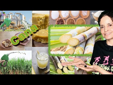 Vídeo: O saccharum officinarum é saudável?