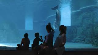 A Tour of Sandpearl Resort