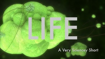 Life