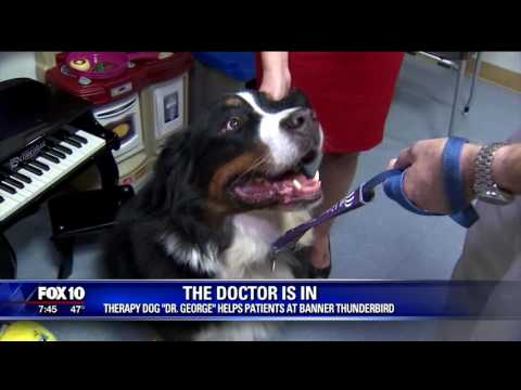 Video: Terapijas suns viegli mierina patversmes pacientu, kamēr viņi abu klausās dzeju