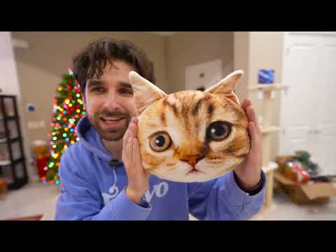 Featured image for the guide to I Tested WEIRD BANNED Christmas Cat Gadgets on My Kittens by Daniel Ferri
