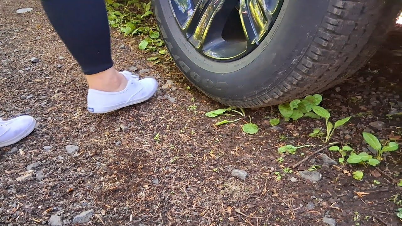 Ultimate Keds Tire Spins 