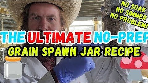 The Ultimate No-Prep Grain Spawn Jar for Mushroom Cultivation!🍄#mushroom #farmer #farming #mushrooms