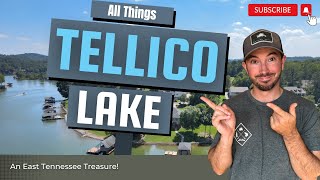 You Should Know This About Tellico Lake | Watch Before Buying Around Tellico Lake