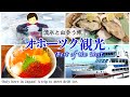 【北海道観光】日本でここだけ！流氷を高確率で見る方法(2023年冬のオホーツク旅行)