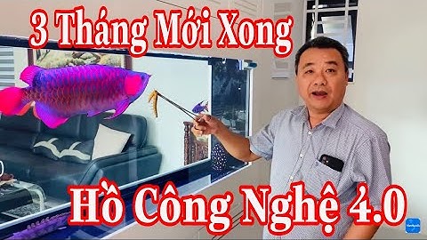 Cận Cảnh Hồ Cá Rồng Công Nghệ Mới Siêu To Của Chú Đầu Bạc Có Gì | Duy Còi Vlog