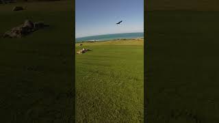 How it started vs how’s it going FPV beginner