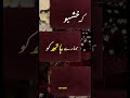 Urdu Poetry Status | Urdu shayari whatsapp status #shayaristatus #poetry #kashmir #trendingshorts