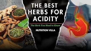 What are the best herbs that treat Acidity?  🌿 10 best natural herbs good for acidity