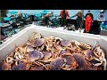 Amazing Seafood Catching 🦀 - Crab, Oyster, Groundfish Fishing and Processing - Fishing Videos