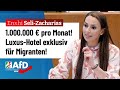 Luxushotel fr migranten  enxhi selizacharias afd